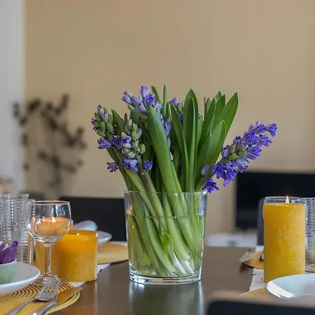 Delightful Family At Only 50 Meters From The Beach Apartment